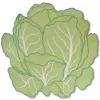 Chefanie Cabbage Placemat| Placemats