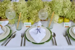 Chefanie Ceramic Bamboo Straws (4)| Straws