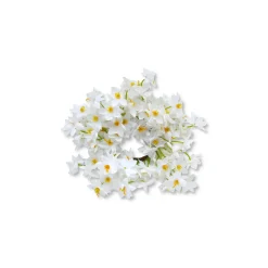 Chefanie Daffodil Napkin Rings (4)| Napkin Rings