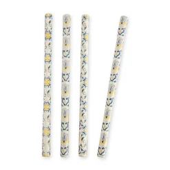 Chefanie Signature Ceramic Straws (4)| Straws