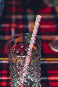 Chefanie Tartan Ceramic Straws (4)| Straws